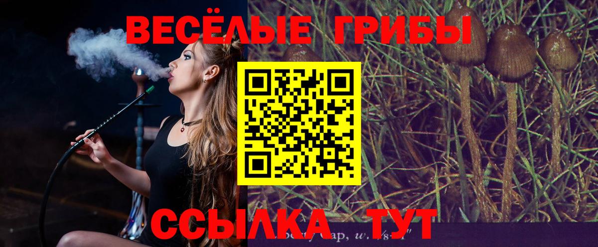 Галлюциногенные грибы Psilocybine cubensis  Вход с VPN  Воскресенск  Галлюциногенные грибы мицелий 